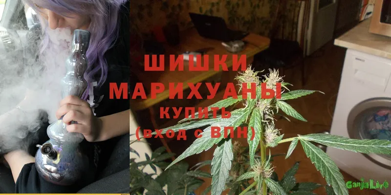 Бошки марихуана LSD WEED  купить наркотики сайты  Краснотурьинск 